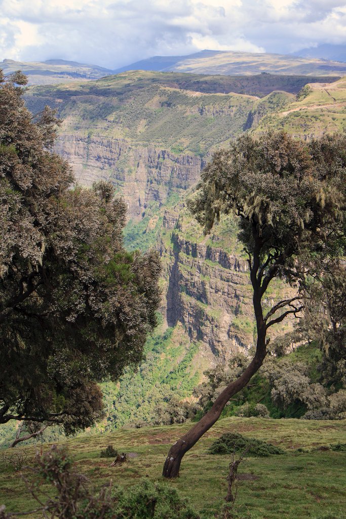 02-Simien Mountains.jpg - Simien Mountains